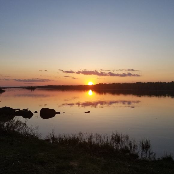 Meet your Posher, Lisa - Picture 1 of 1